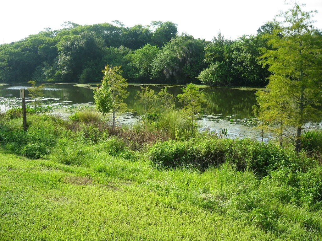 $2 Gets You Into 596 Acres at Upper Tampa Bay Conservation Park in Tampa, FL 6 Upper Tampa Bay Park