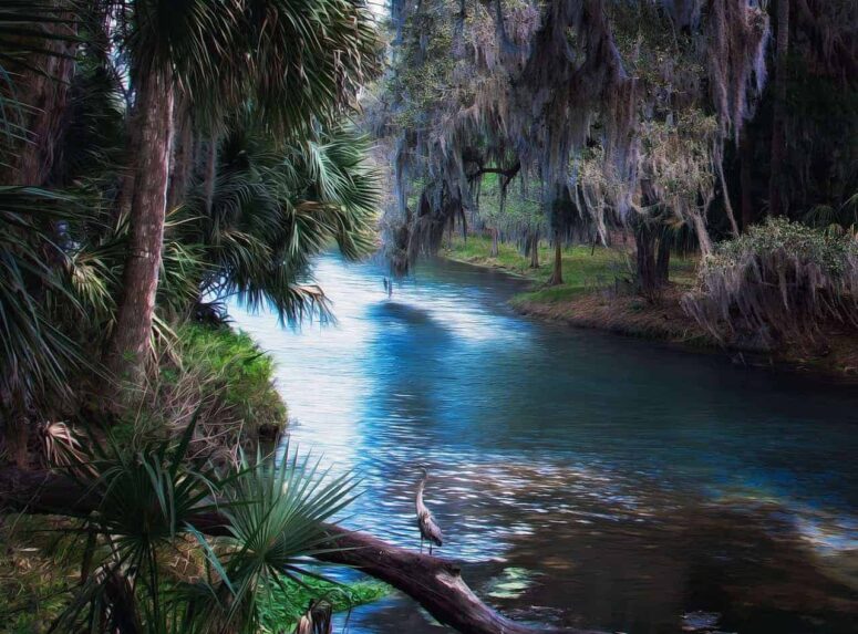 What is the best time to travel to Florida?