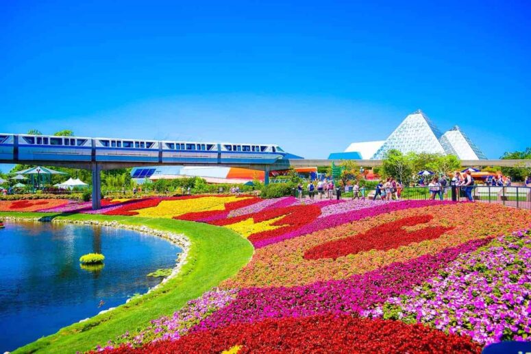 Glorious Things to Do in Orlando, Florida