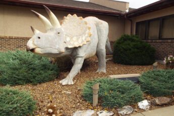 Dickinson Museum Center & Badlands Dinosaur Museum