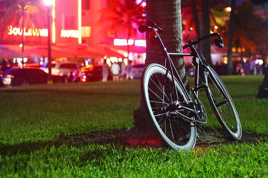 Cheap things to do in Miami at night