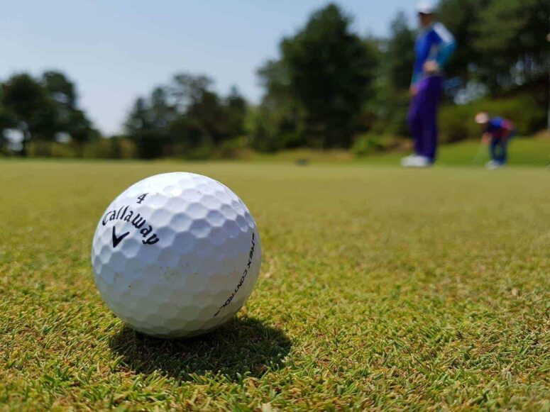 Cape San Blas Golf