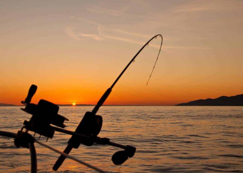 Cape San Blas Fishing Charters – Offshore and Nearshore Fishing Trips