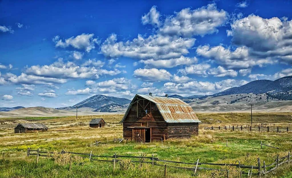 Hva du skal se i Montana