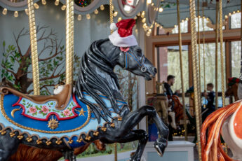 Historic Carousel & Museum in Albany