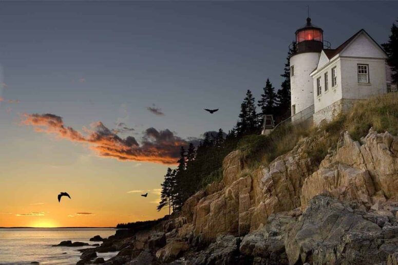 Concealed Things to do in Maine