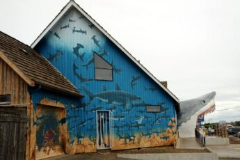 Shark bite, front door, mural of sharks, shark cage, tourist shop, Ocean Shores, Washington, USA