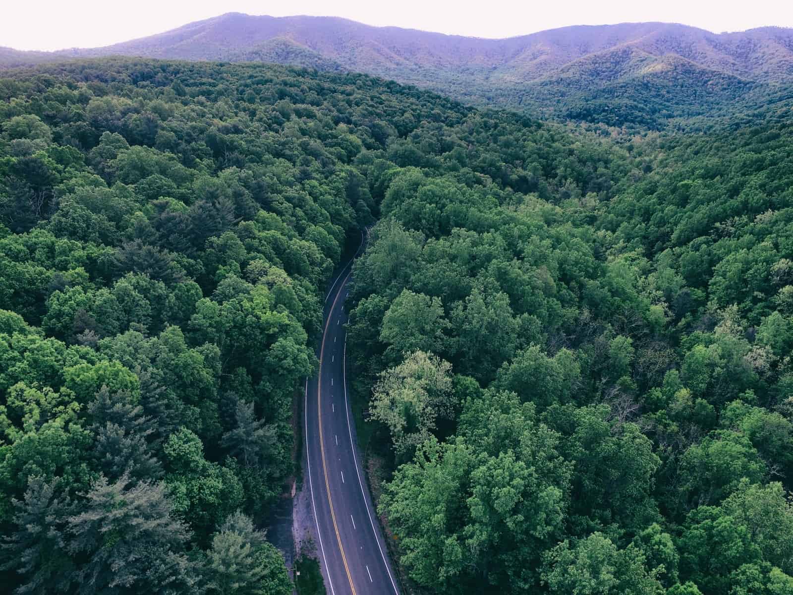 Die besten Aktivitäten in Virginia