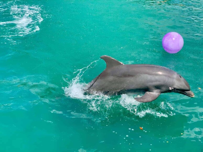 Popular places to visit in Miami with kids