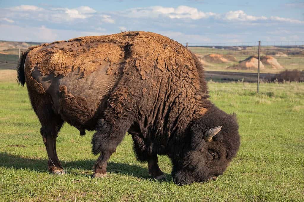 Turistattraktioner i North Dakota