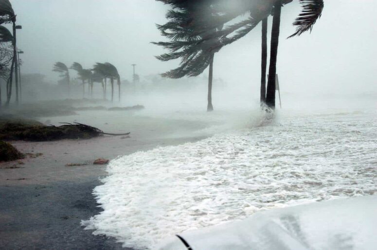 When Should You Not Visit Florida?