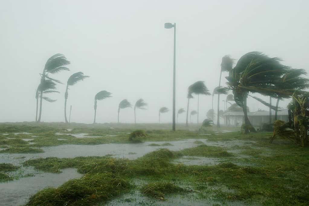 hurricane season in Florida