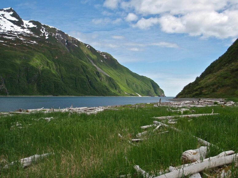 Things to do in Alaska in the summer