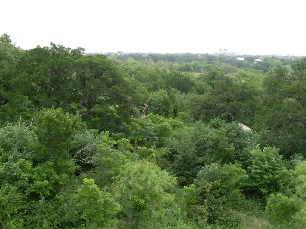 Arbor Hills Nature Preserve Panorama