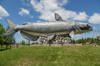 Worlds Largest Catfish Wahpeton