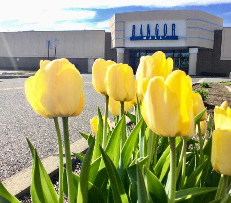 Bangor Mall In Bangor, ME Is Still Open - But For How Long ... Best buy bangor mall