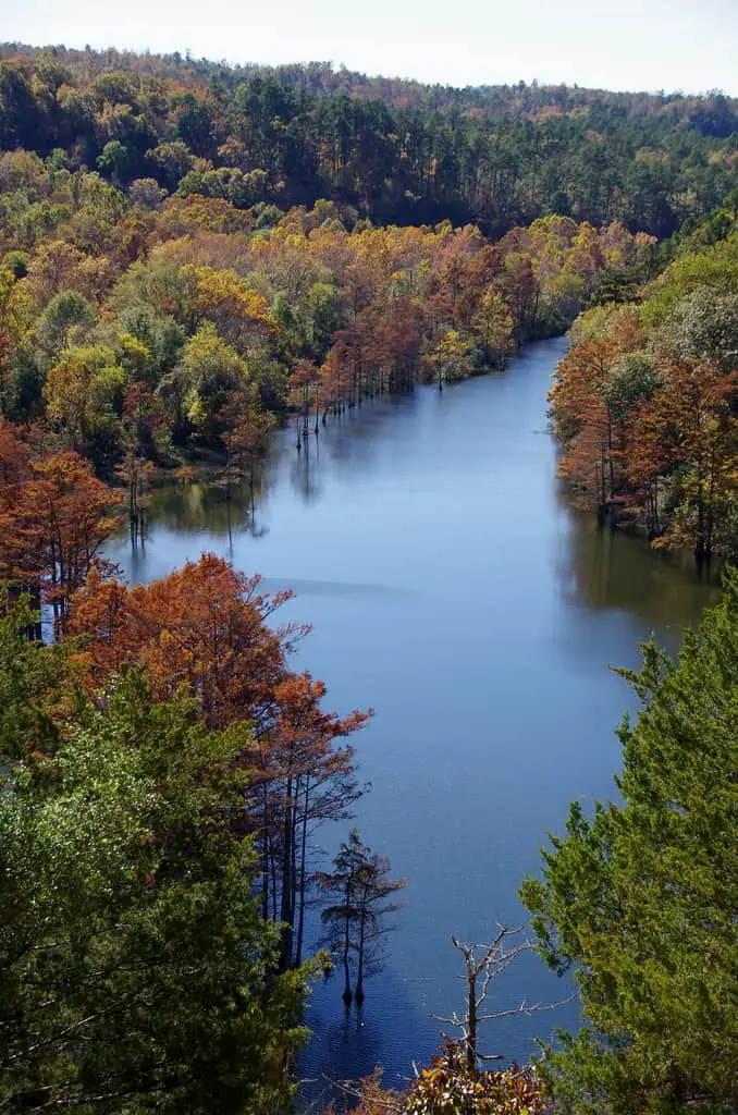 Best places to visit in Broken Bow Beavers Bend State Park
