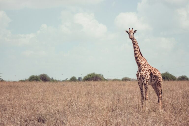 Romantic areas near me