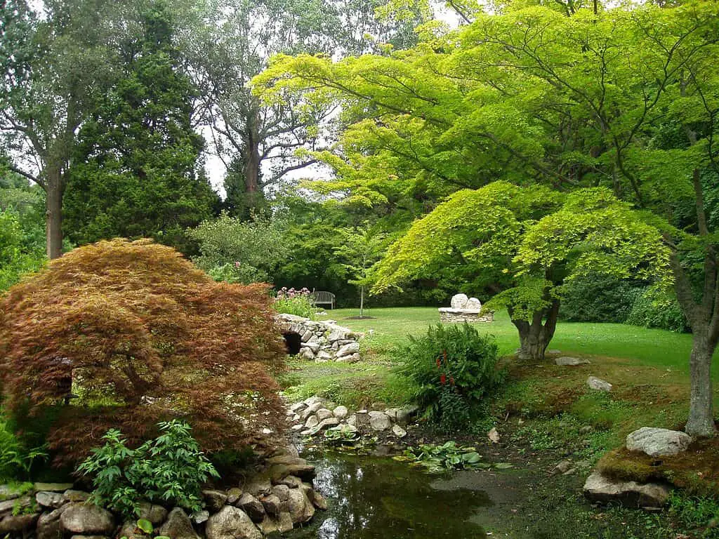 Blithewold Mansion - Water Garden