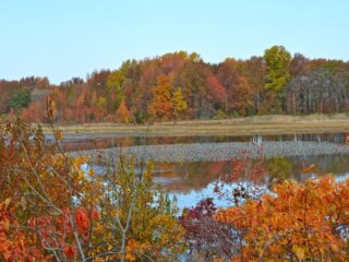 Bombay Hook National Wildlife Refuge, Dover, DE, Holds the Marsh’s Oldest Secrets