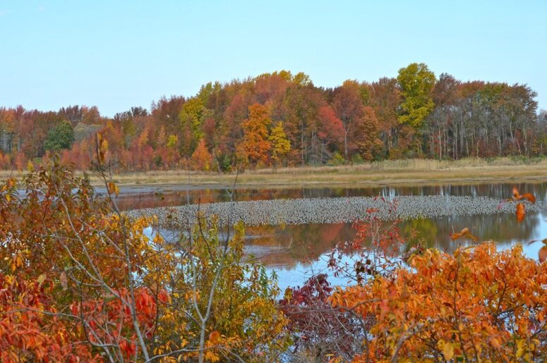 Bombay Hook National Wildlife Refuge, Dover, DE, Holds the Marsh's Oldest Secrets