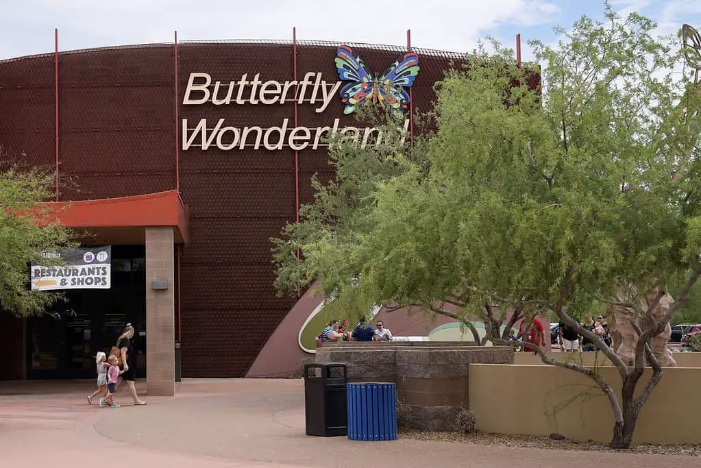 Best tourist attractions in Scottsdale Butterfly Wonderland
