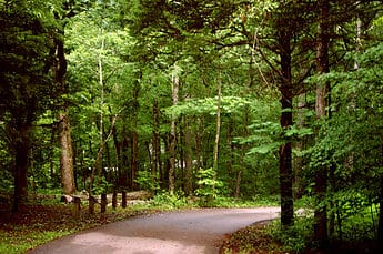 Campground Road - Cedars of Lebanon State Park - Tennessee