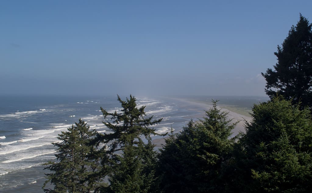 Cape Disappointment North Head lighthouse (#1204)