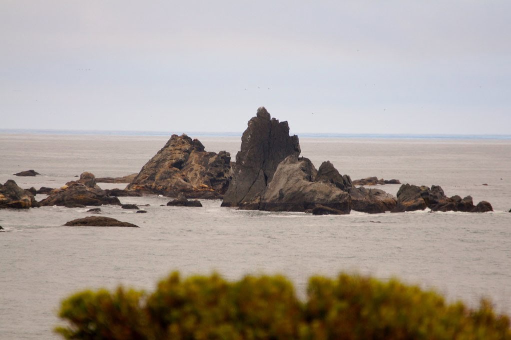 Castle Rock National Wildlife Refuge, Crescent City, CA Held Out Against 100 Years of Bad Ideas 11 Castle Rock National Wildlife Refuge