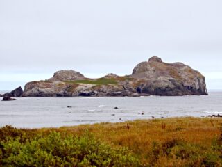 Castle Rock National Wildlife Refuge, Crescent City, CA Held Out Against 100 Years of Bad Ideas
