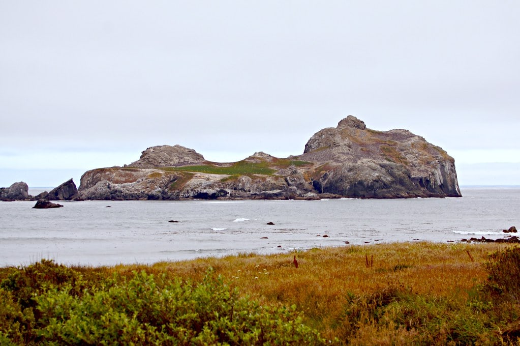Castle Rock National Wildlife Refuge, Crescent City, CA Held Out Against 100 Years of Bad Ideas 10 Castle Rock National Wildlife Refuge