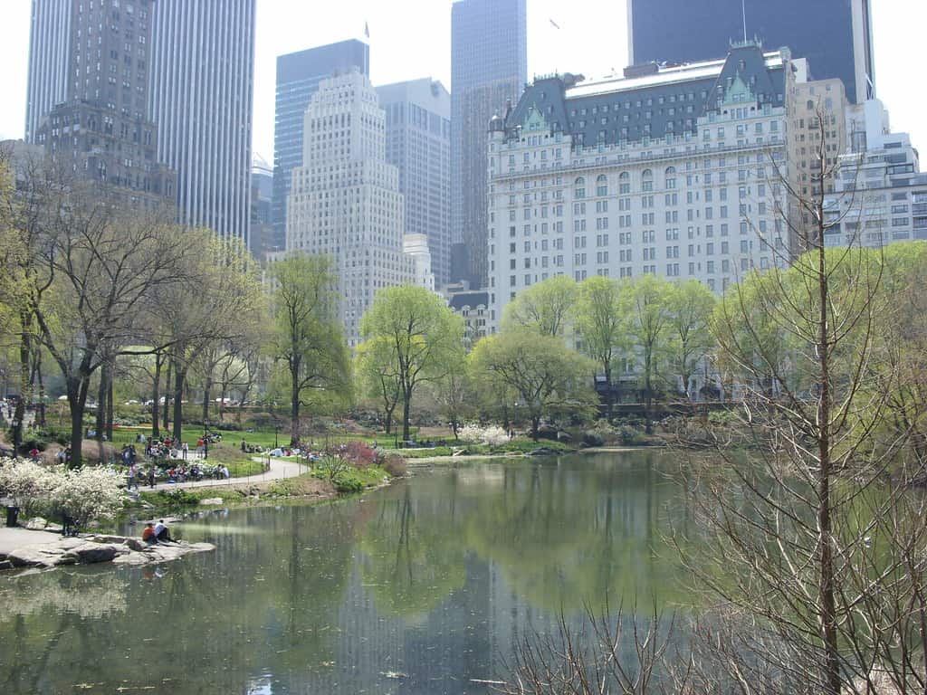 Central Park - Manhattan, New York