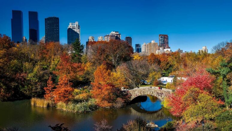 Central Park - Place to Visit in New York City