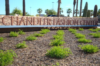 Chandler Fashion Center