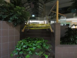 From Packed to Empty: How Charlestowne Mall Collapsed in St. Charles, IL