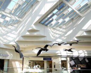Cherry Creek Shopping Center