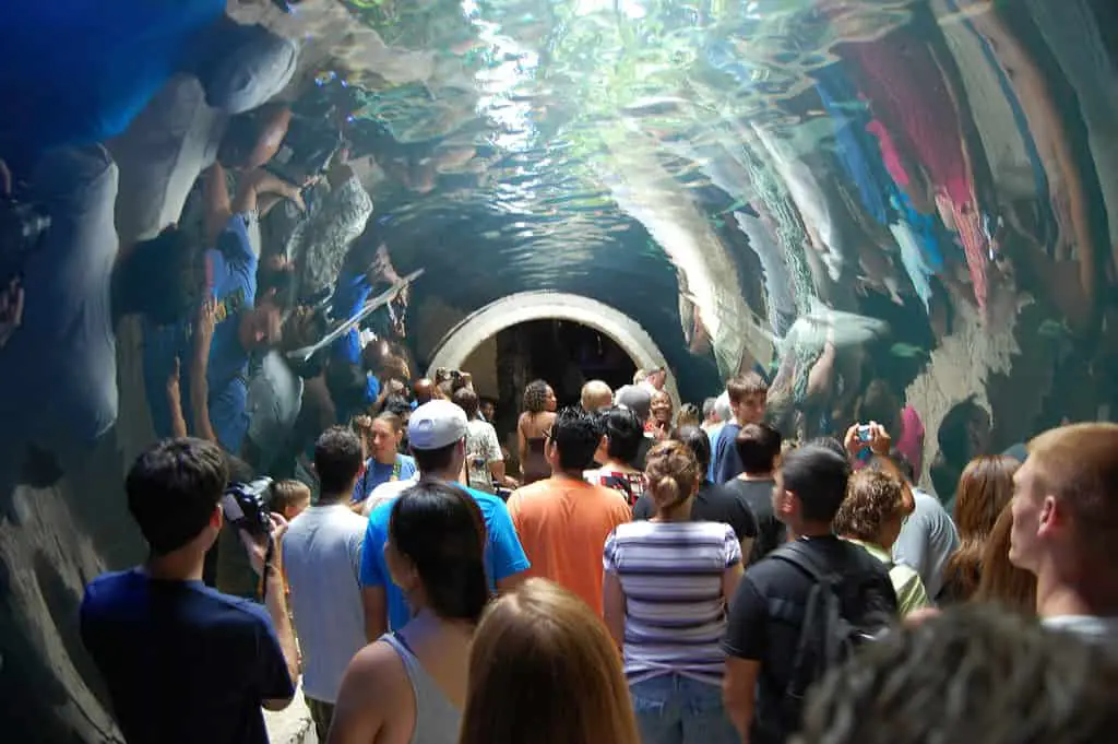 Dallas World Aquarium - Water Tunnel