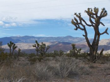 Things to do in Pahrump, Nevada