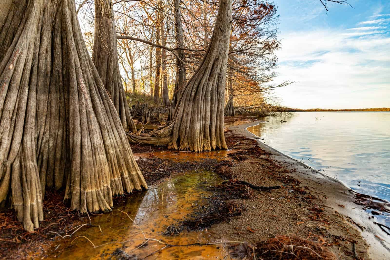 Top-Sehenswürdigkeiten in Mississippi