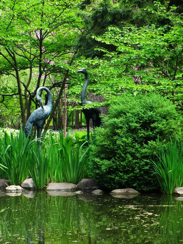 Fabyan Forest Preserve - Japanese Garden