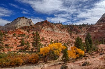 Fall Colors in Zion National Park, Utah