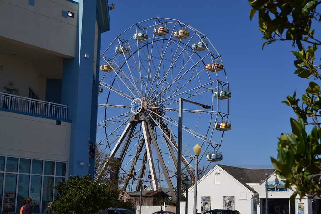 Ferris Wheel at Atlantic Fun Park - Virginia Beach