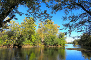 Fox River at Lippold Park Kane County, Illinois