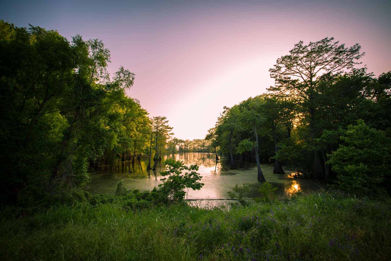 Les meilleures choses à faire dans le Mississippi