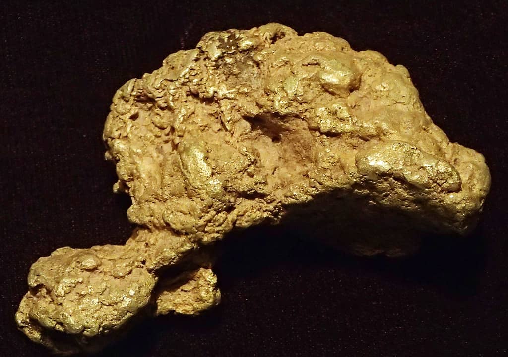 Gold nugget (placer gold) (Bulger Basin Placer Deposit, Pennsylvania Mountain, Alma Mining District, Park County, Colorado, USA)