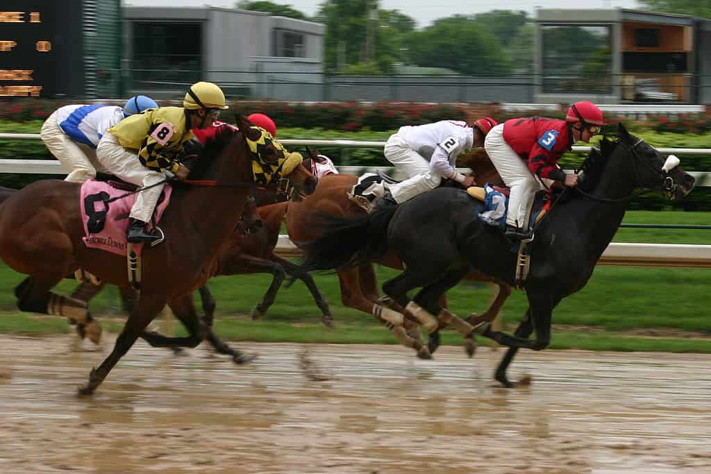 Horse race, Churchill Downs