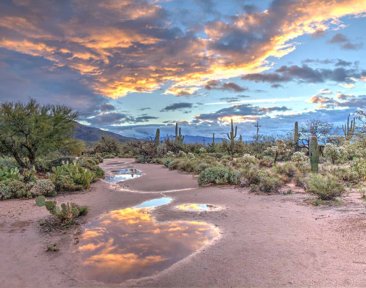 Principais lugares para visitar no Arizona