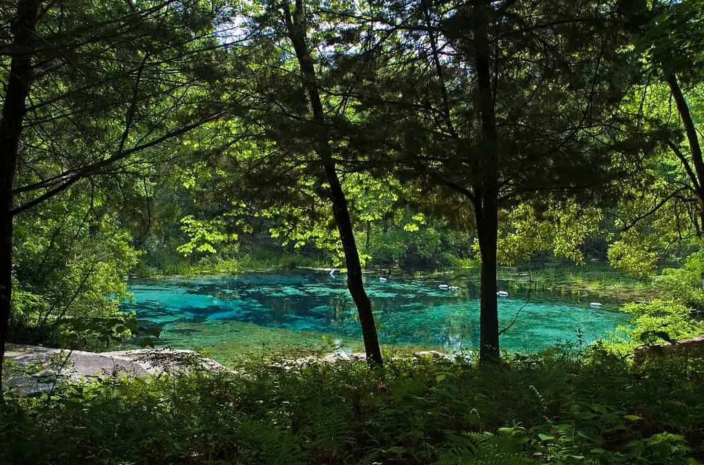 Ichetucknee Springs State Park - Places to go in Gainesville