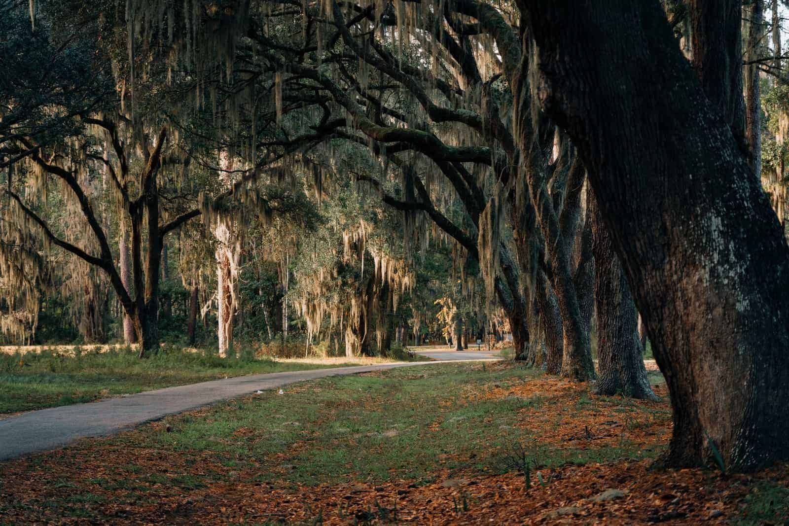 Turistattraktioner i South Carolina, USA