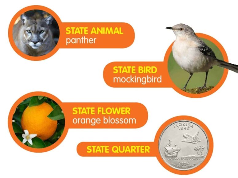 Fun Facts About Florida
